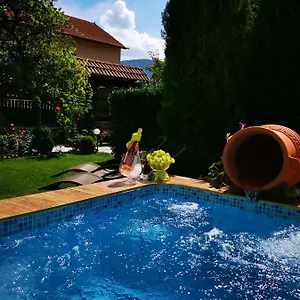 Guest house Zigen House, Bansko